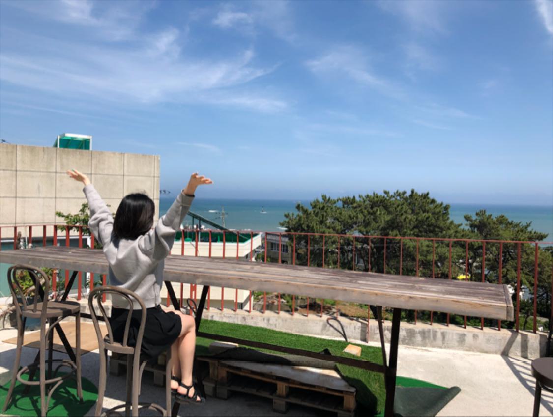 뽀쿠만두 프로필