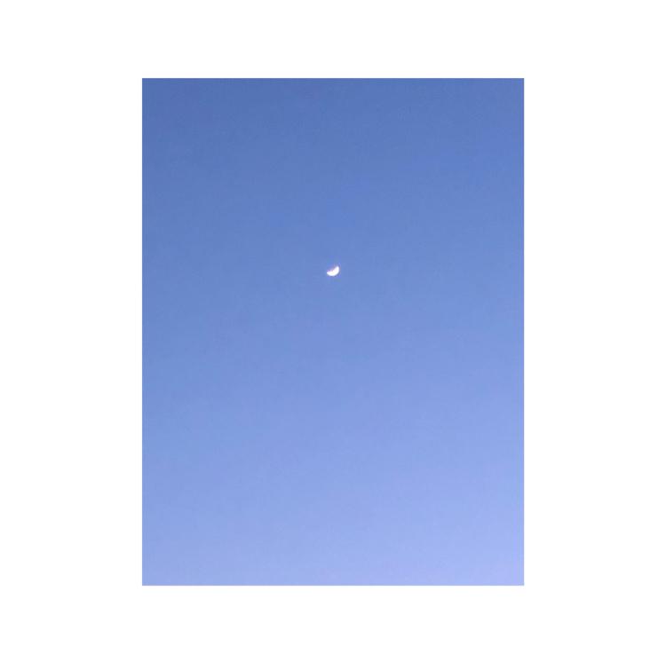 리나니 프로필
