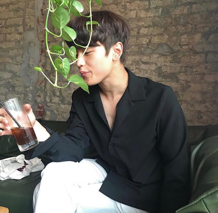 pccjye 프로필