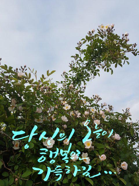 그린핑거1004 프로필