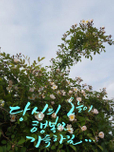 그린핑거1004