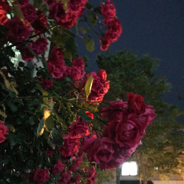 재효미 프로필
