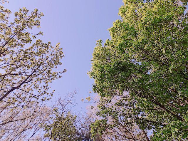 찰톡 프로필