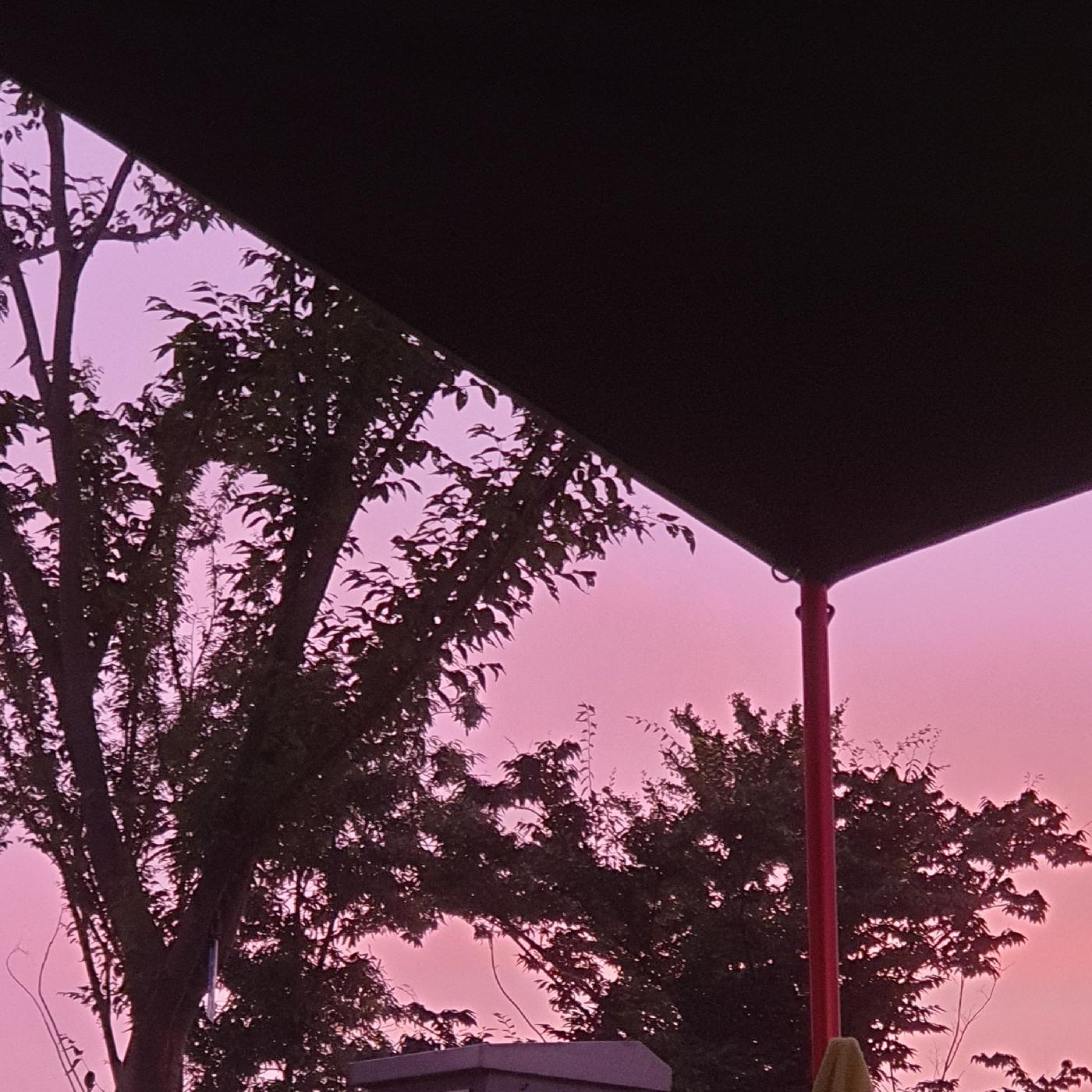 코링이 프로필