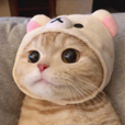 ㄹㅎ