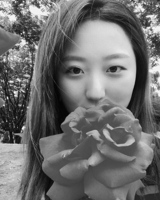 jijiya 프로필