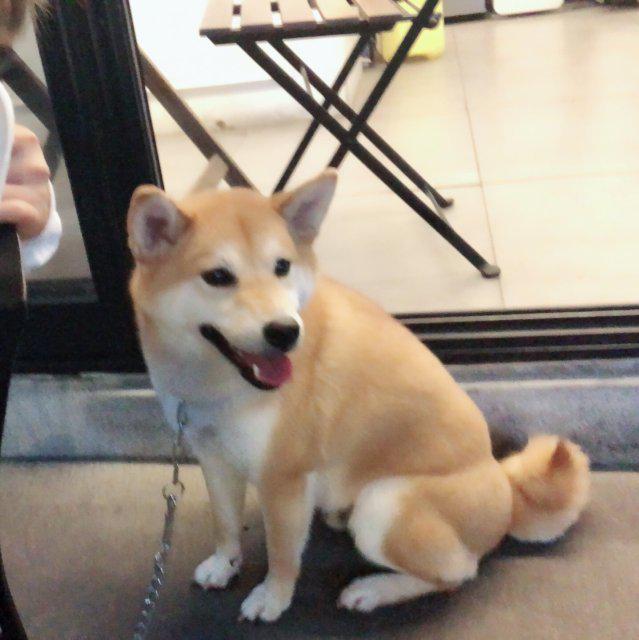 모공이일공공공 프로필