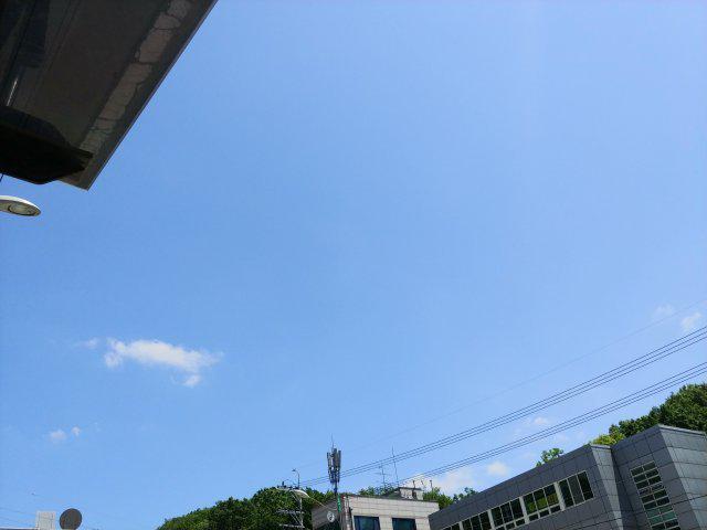 리리리리릴 프로필