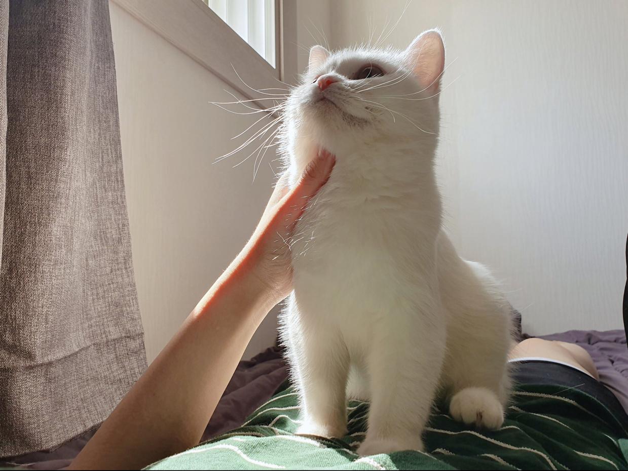 리뷰어 프로필