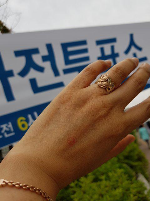 윤지밥 프로필