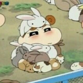 안홍아 프로필