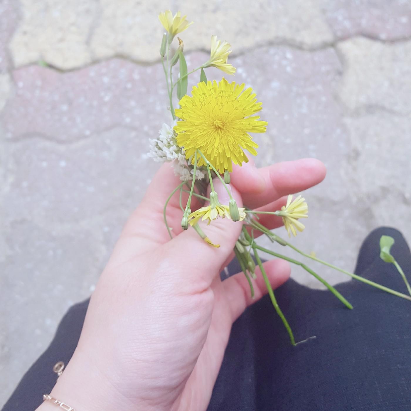 달콤초코7 프로필
