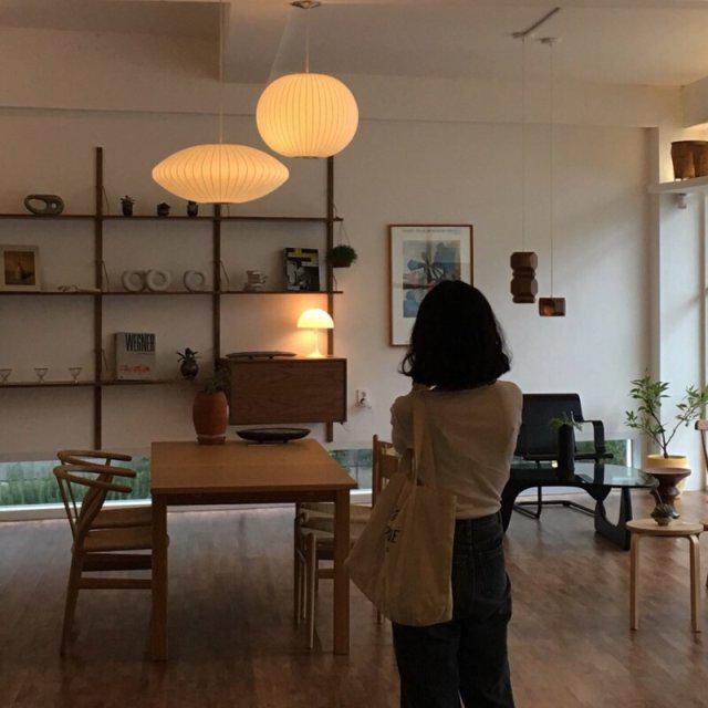 견쵸님 프로필