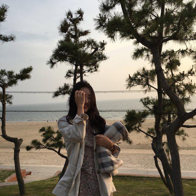 킴디디 프로필