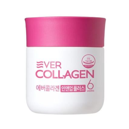 인앤업 플러스
