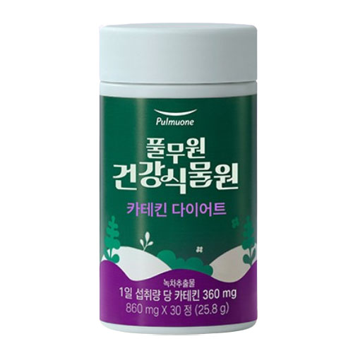 카테킨 다이어트