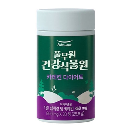 카테킨 다이어트