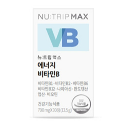 뉴트립 맥스 에너지 비타민B
