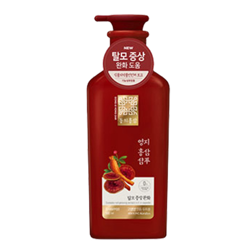 동의홍삼 영지 홍삼 샴푸 제품 이미지