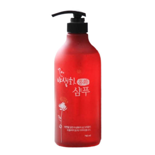 꽃마 야생화 홍화 샴푸