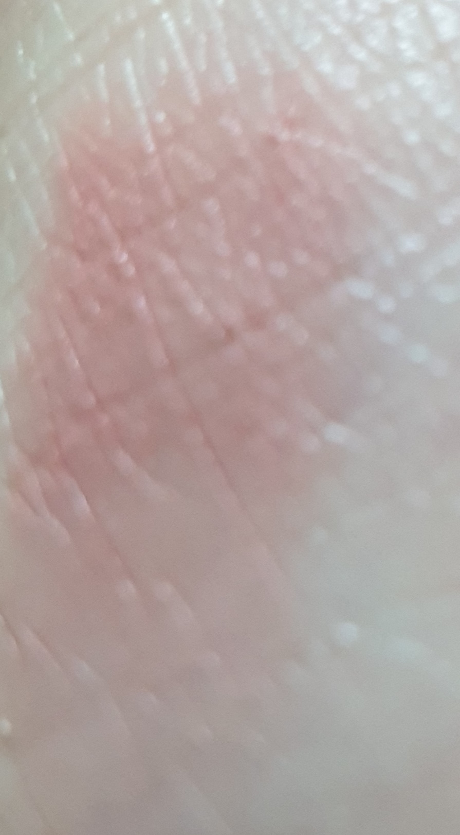 undefined 이미지 1