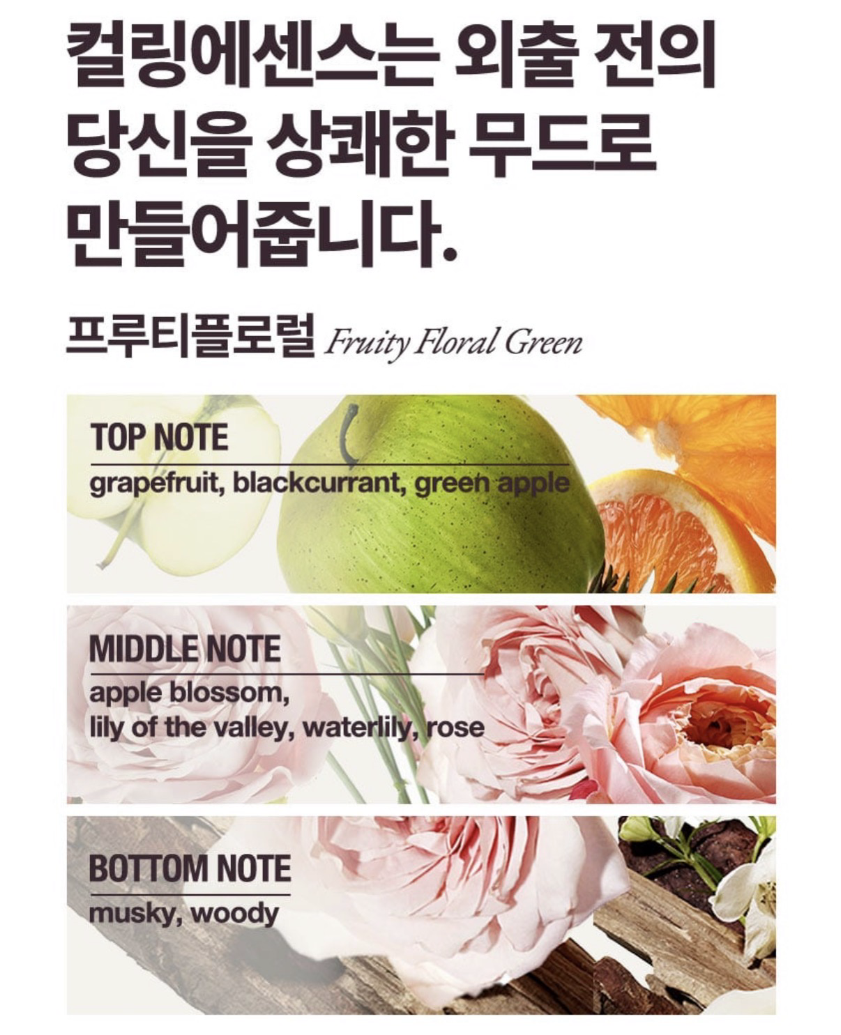 질문 이미지