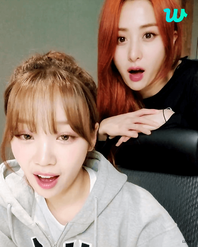undefined 이미지 2