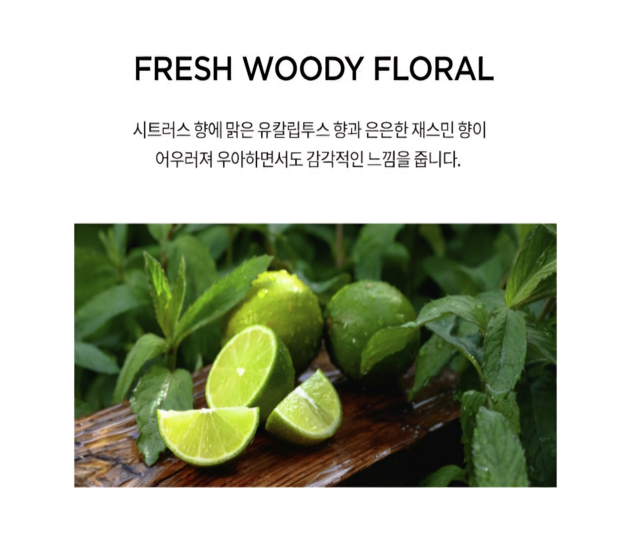 undefined 이미지 2