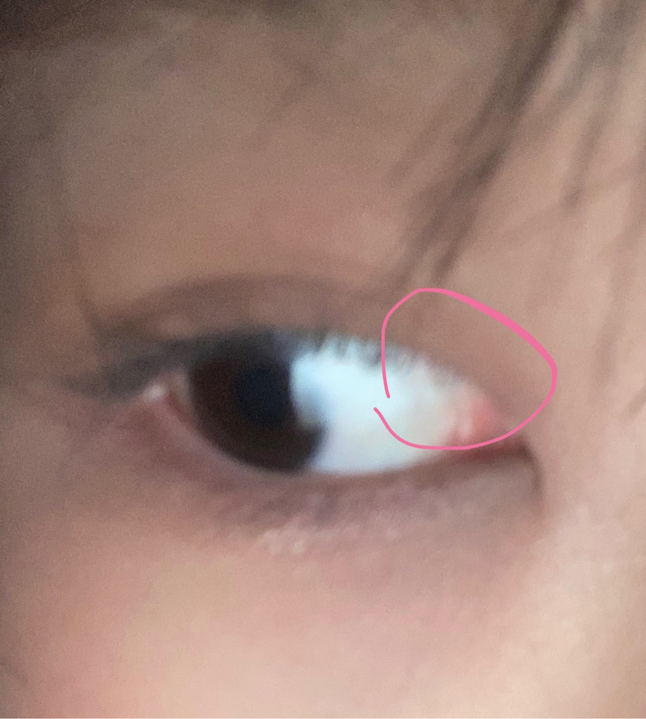 undefined 이미지 1