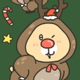 아보리리