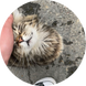마곤