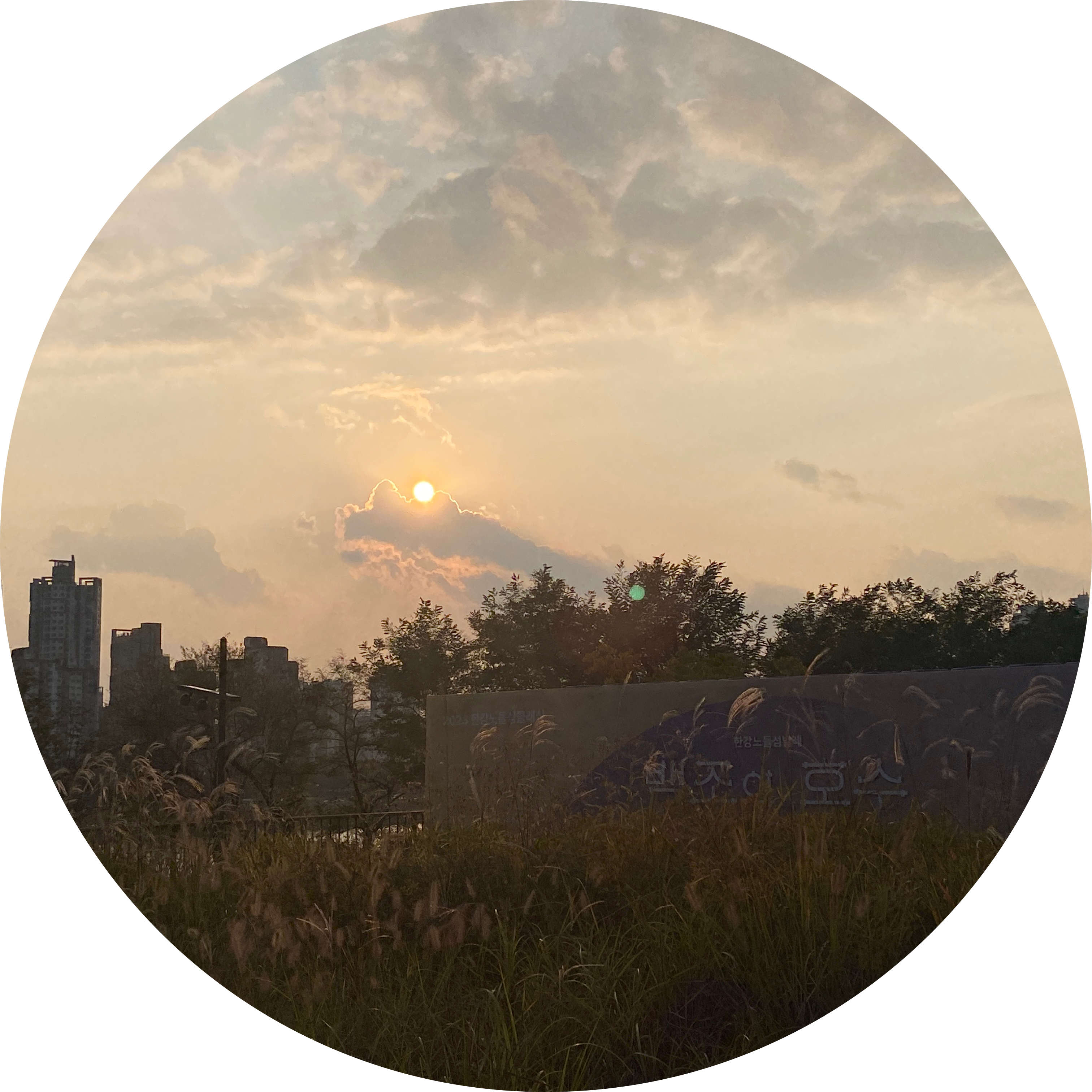 SangChu 프로필