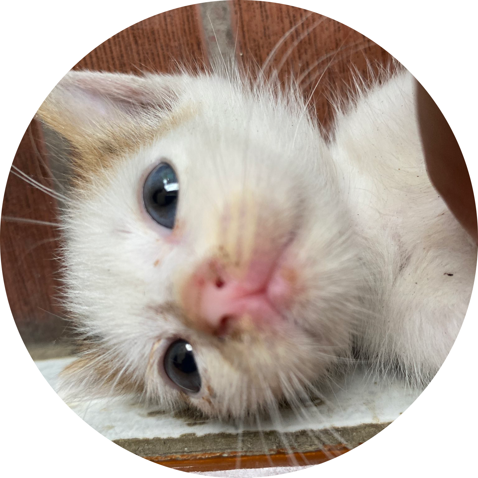 리뷰어 프로필