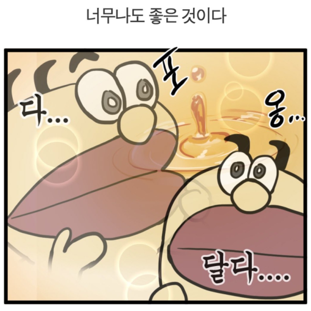 주모쓰 프로필