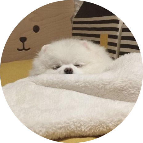 쿠로밍쨔응 프로필