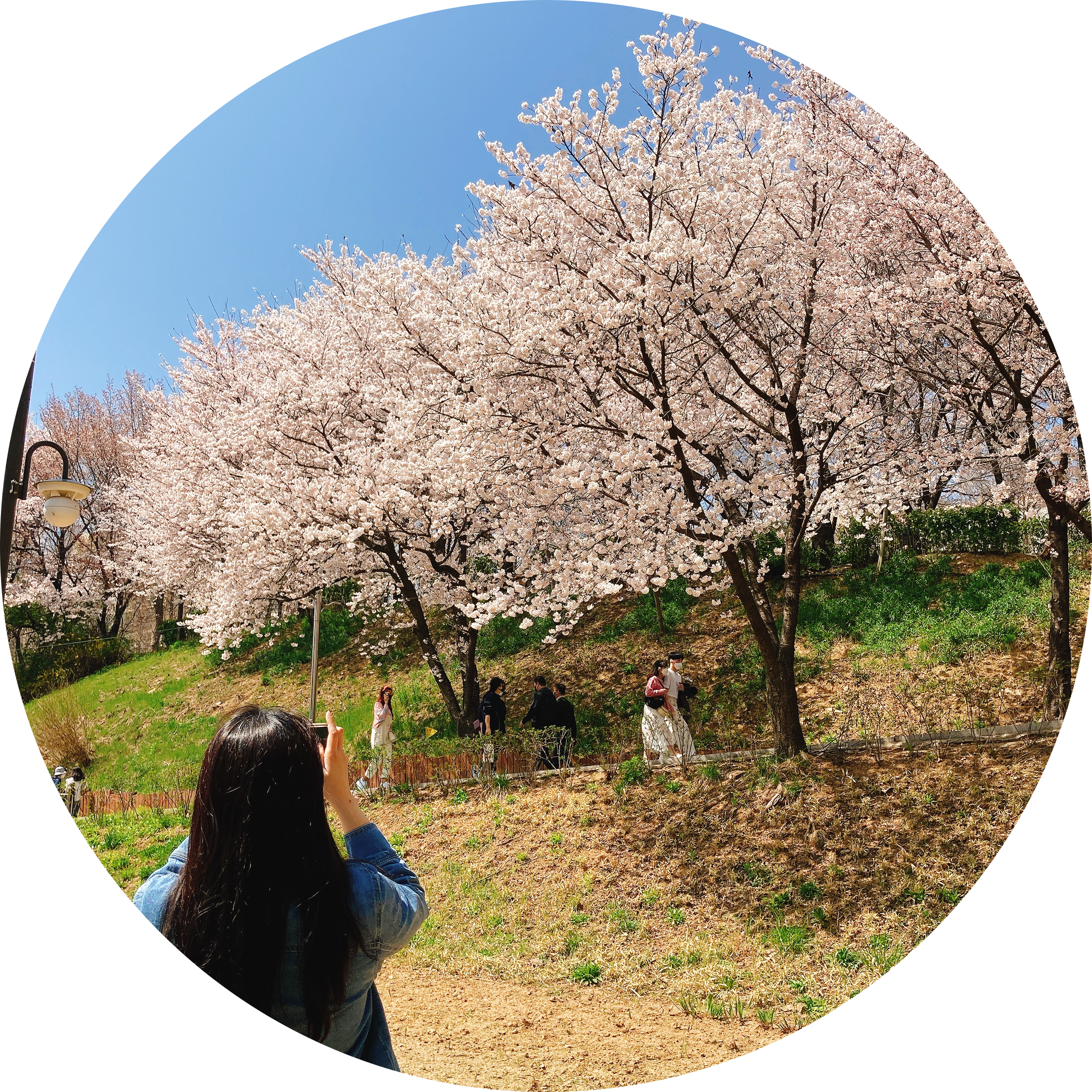 무서운호랑 프로필