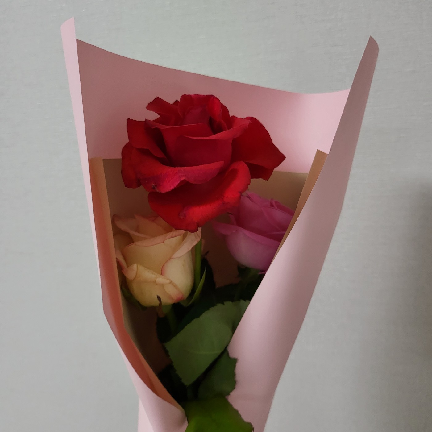 설렛오 프로필