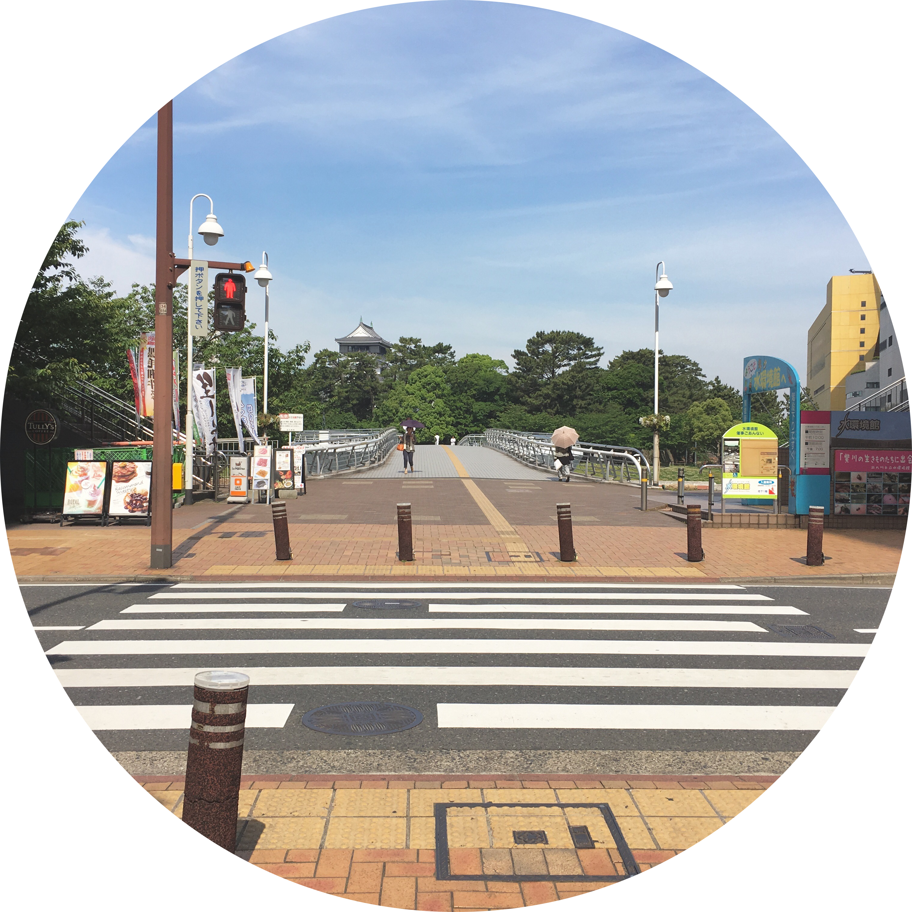 쑫이 프로필