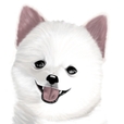 엿찡