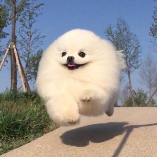 ttokkk_@ 프로필