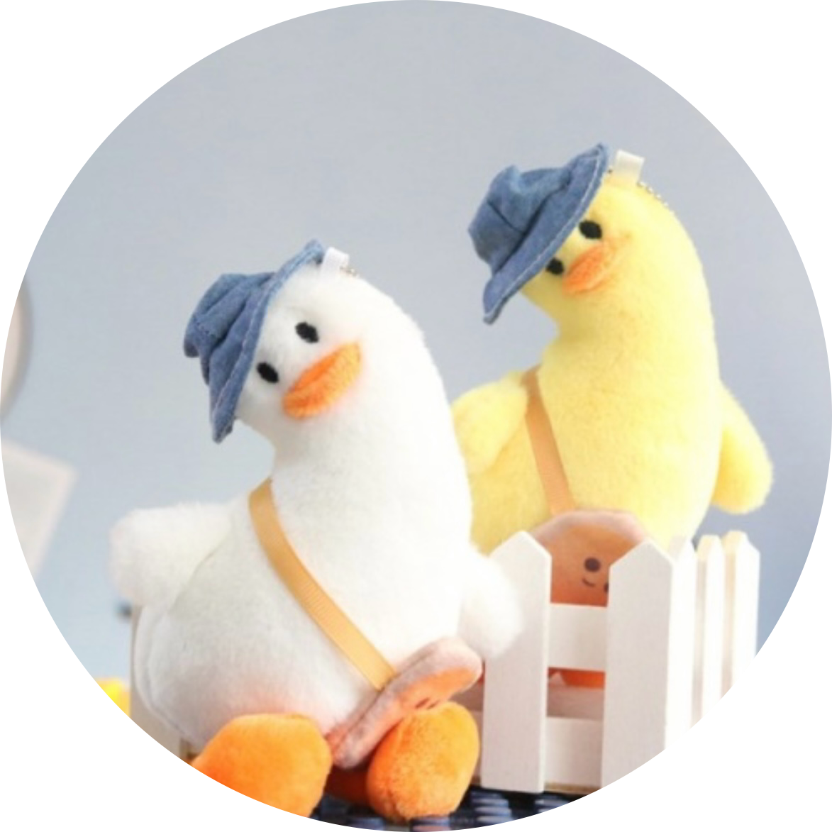 이꽥꽥이 프로필
