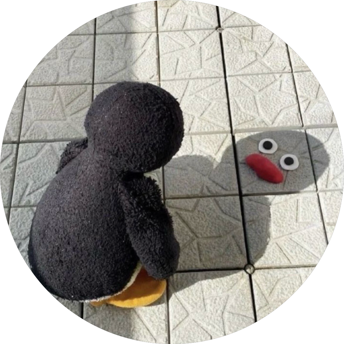 훗추추 프로필