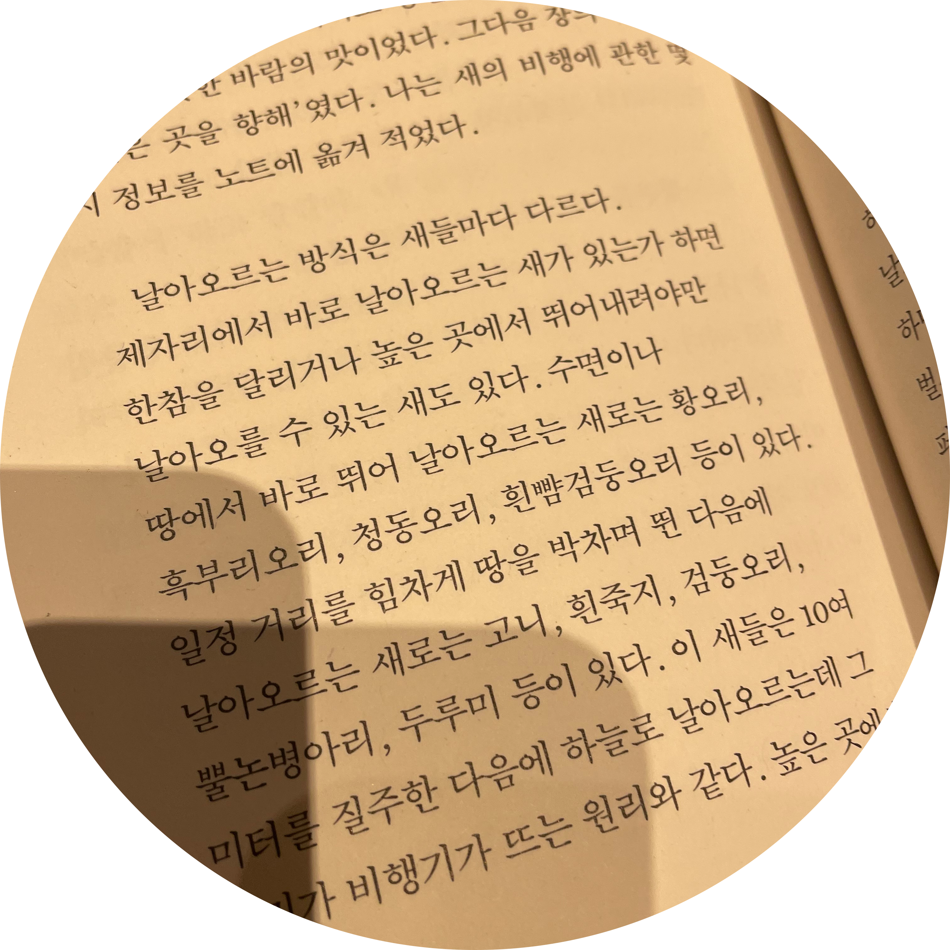 햄슈니 프로필
