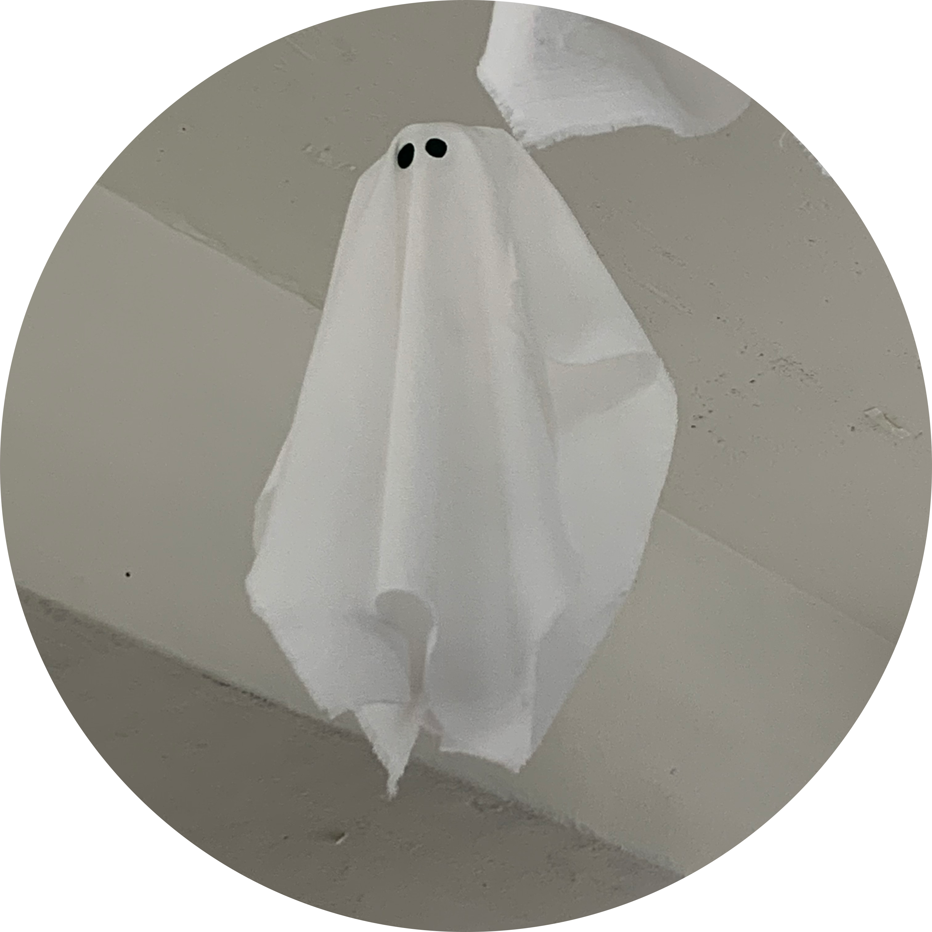 쿼카픽 프로필