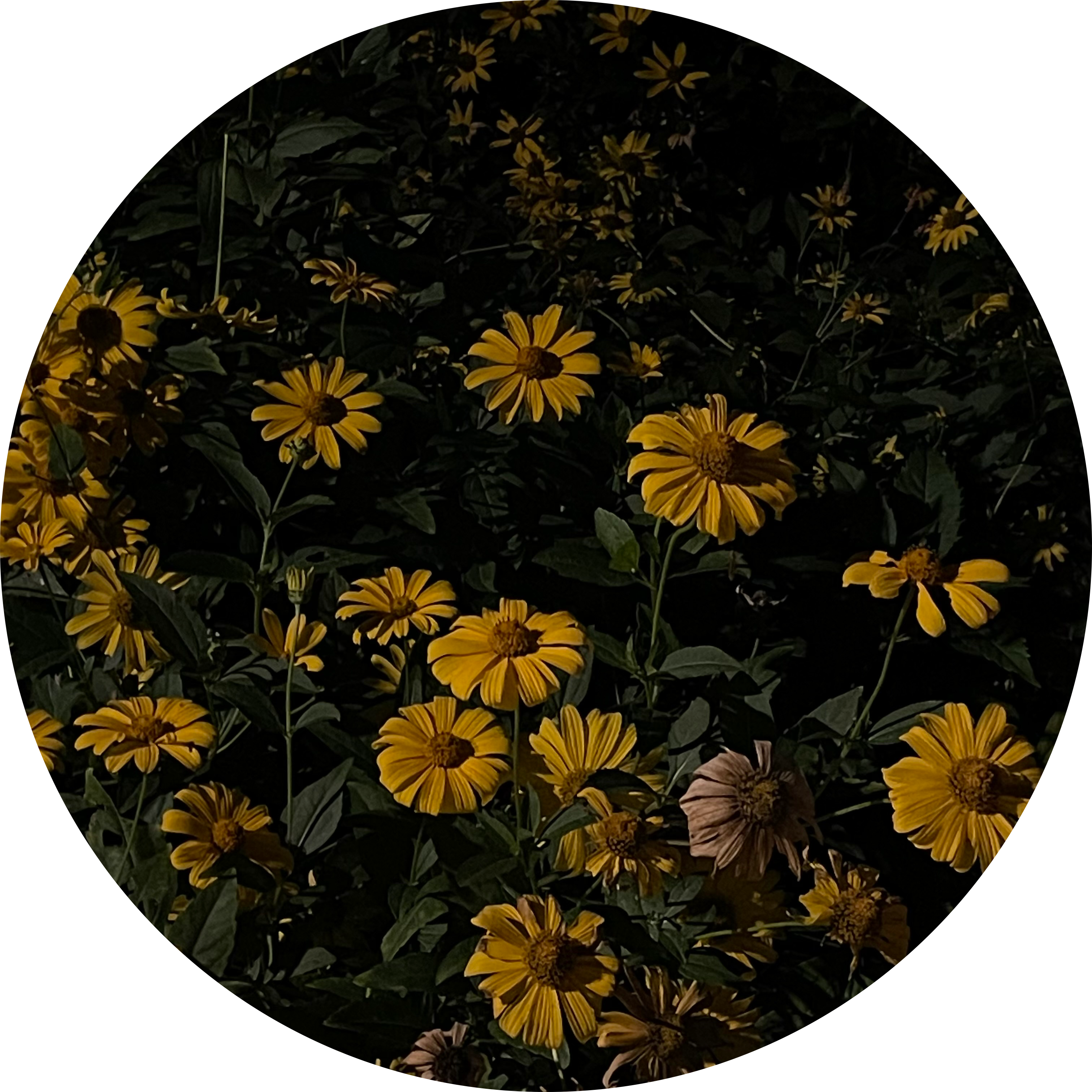 리뷰어 프로필