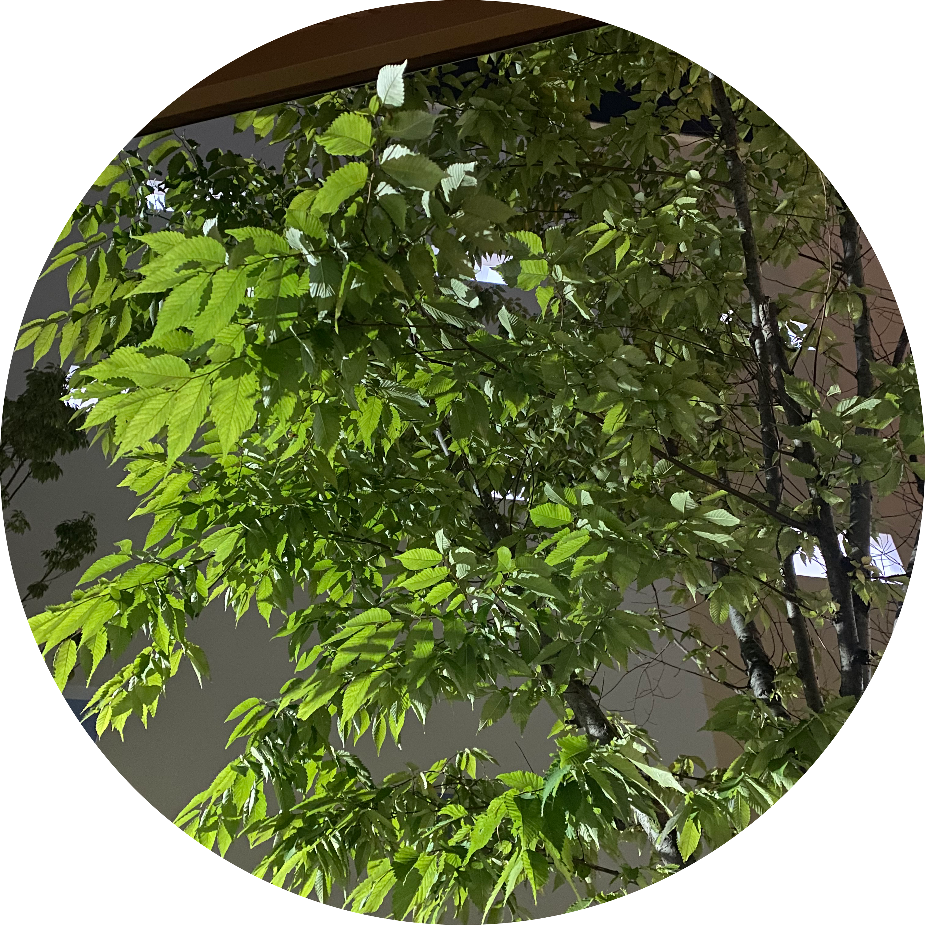 hye_eun 프로필