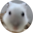 네코네코