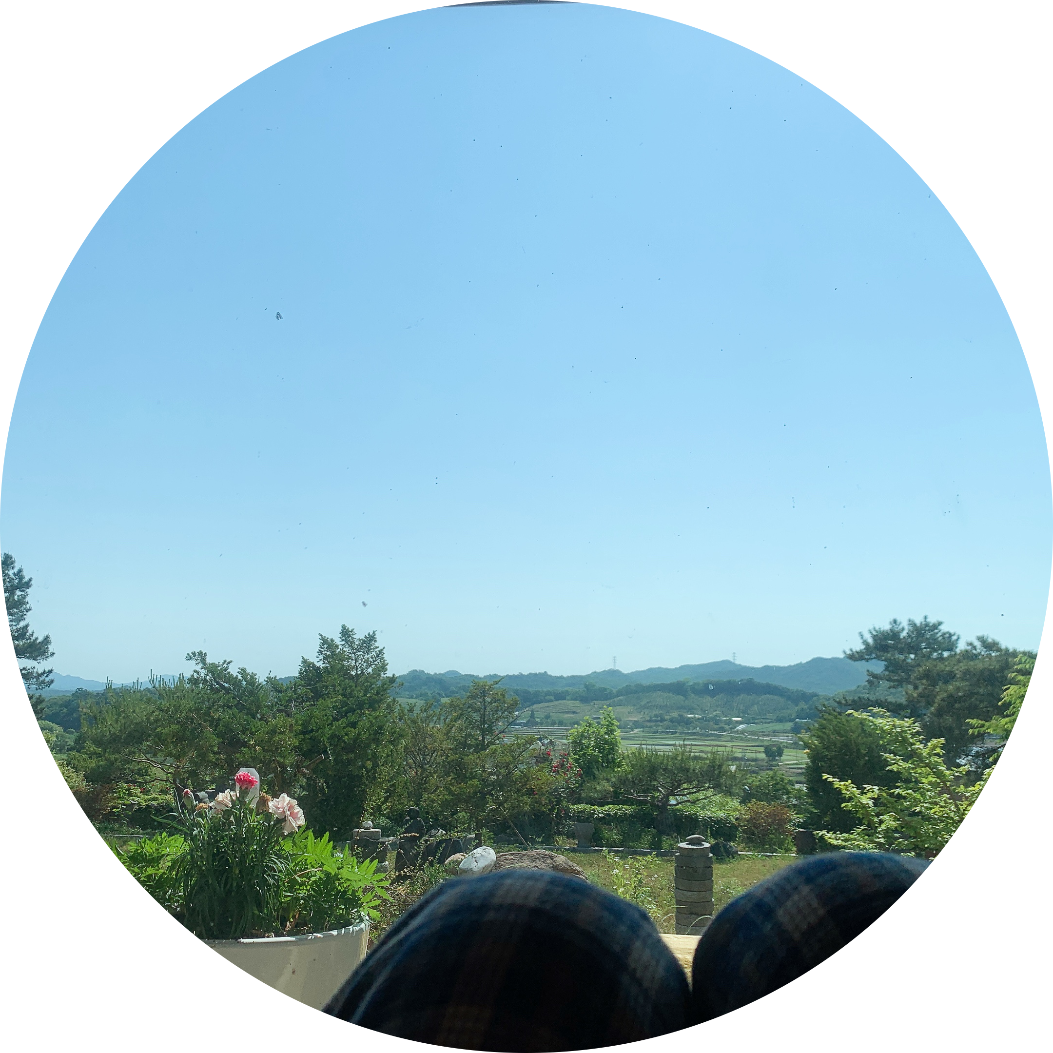 쓜잇 프로필