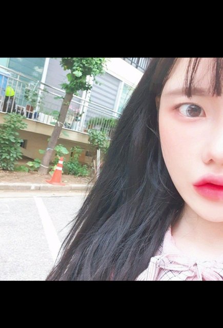 리뷰어 프로필
