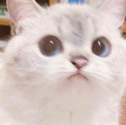 쏠트킴 프로필
